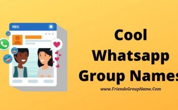 Cool Whatsapp Group Names【2020】For Friends & School Friends 1 Cool Whatsapp Group Names, Group Names