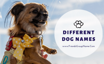 Different Dog Names For Best Male And Female Name List 2020 1 Different Dog Names, dog names