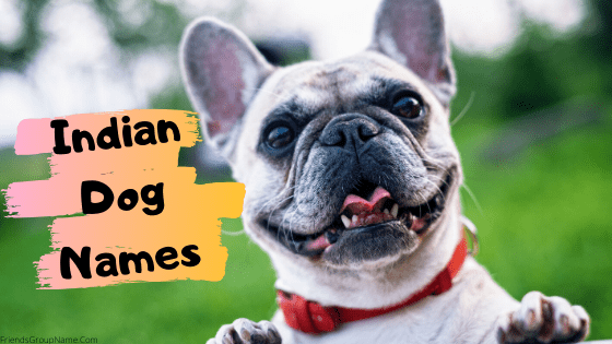 indian-dog-names-2020-for-best-boy-and-girl-dog-name-list-in-hindi