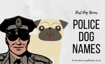 Police Dog Names【2020】For Best, Funny & Good Names List 1 Police Dog Names, dog names