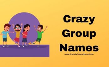 Crazy Group Names【2021】For Whatsapp, Friends & Ideas 1 Crazy Group Names, Group Names