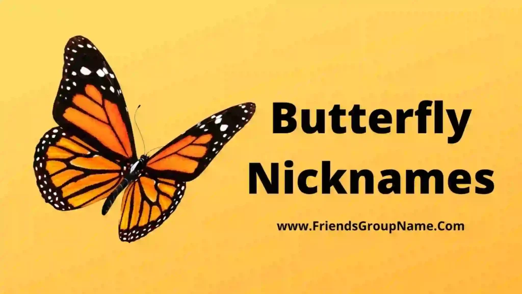 250+Butterfly Nicknames【2024】Best, Funny & Good Butterfly Names Ideas