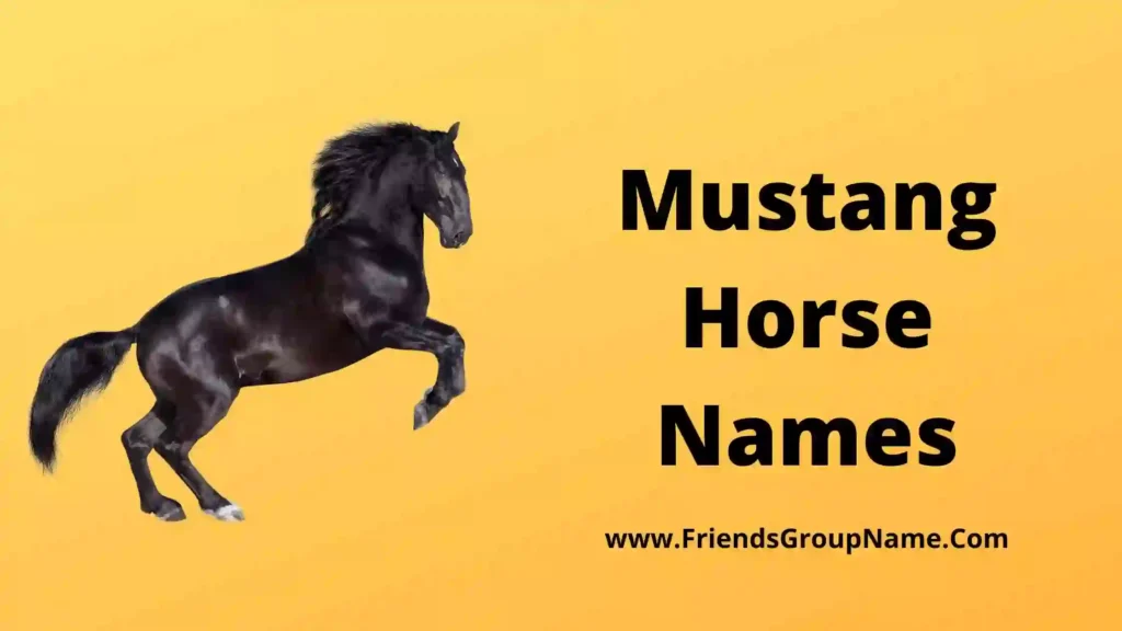 300+ Mustang Horse Names 2024