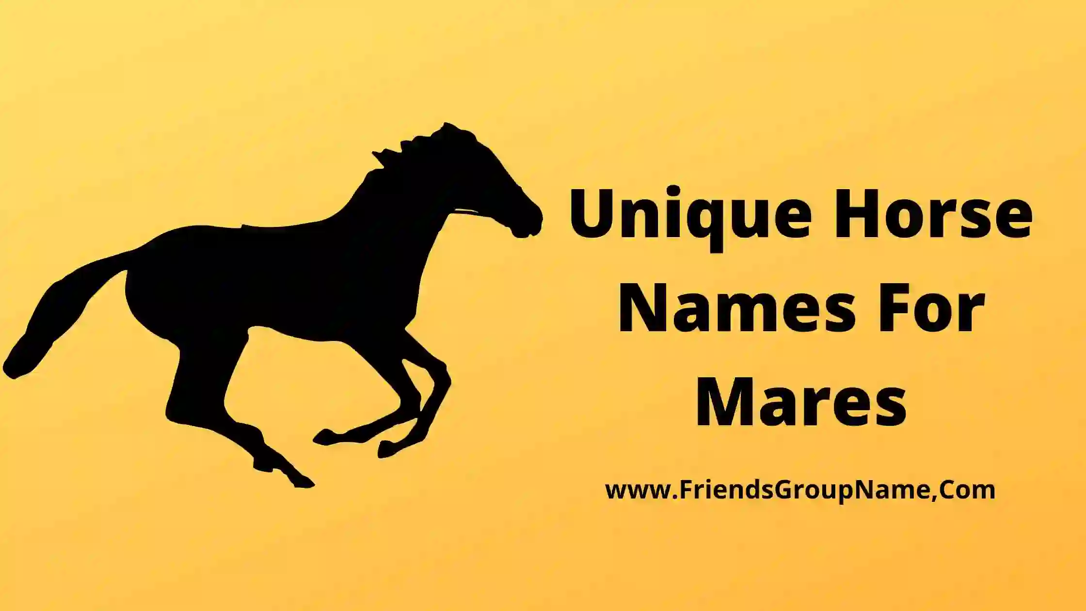 Unique Horse Names For Mares