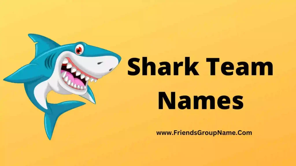 shark-team-names-2024-best-funny-good-team-names-for-shark