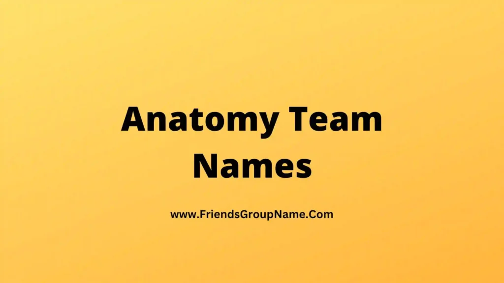 anatomy-team-names-2024-best-funny-good-team-names-for-anatomy