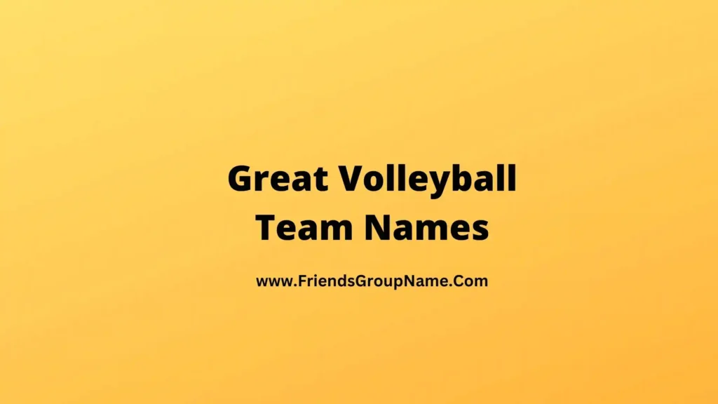 Great Volleyball Team Names 2024